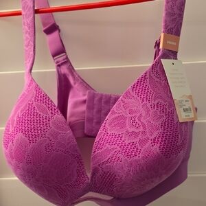Lane Bryant Lace Bra in Bright Pink